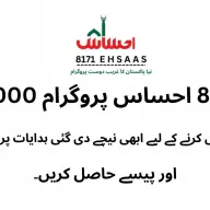 Ehsaas Program CNIC Check Online Registration