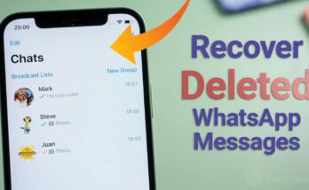 How to Recover Deleted Whatsapp Messages Without Backup on iPhone?